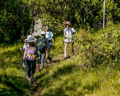 Group of tourists on a hike through the Andean jungle