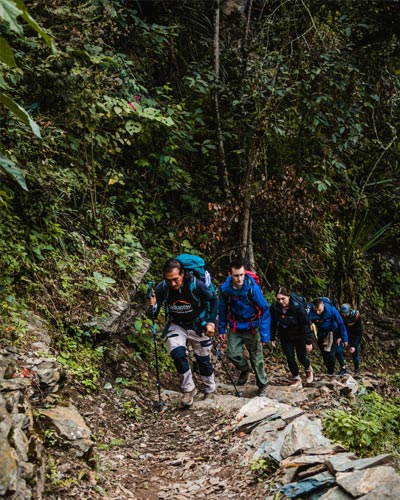 Inca Jungle Treks