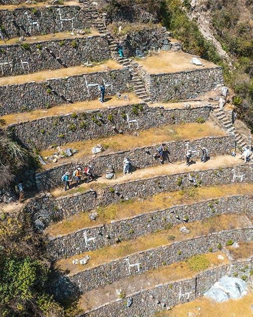 Llamas Sector Choquequirao