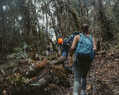 Tourists on the hike to the town of Aguas Calientes through the Andean jungle
